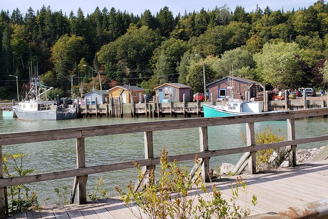 Fundy Coast to Fundy Shore Tour - Is $96.23 a fair price?