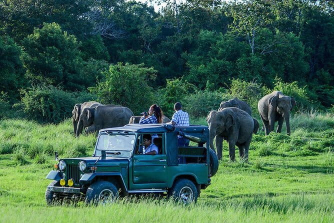 Galle ALL INCLUDED Tour from Hambantota Port (Shore excursions) - Who will enjoy this shore excursion most