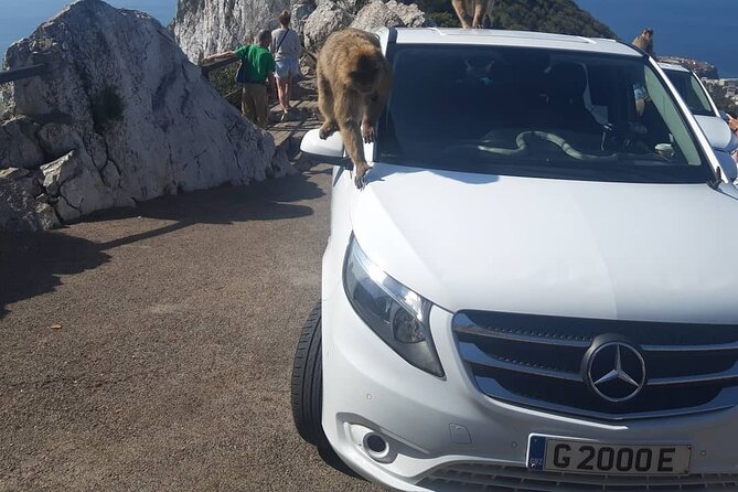 Gibraltar Sightseeing : Classic Shore Excursion (Private) - Is the $324.96 Price Good Value?