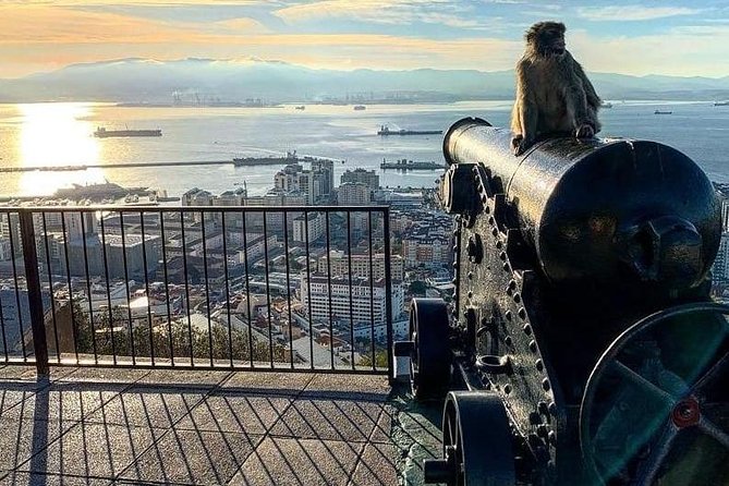 Gibraltar Sightseeing : Extended Rock Tour / Shore Excursion (Private) - The Rock of Gibraltar gives the tour its shape