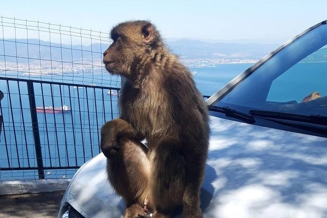 Gibraltar Sightseeing : Extended Rock Tour / Shore Excursion (Private) - The Skywalk delivers the biggest visual jolt