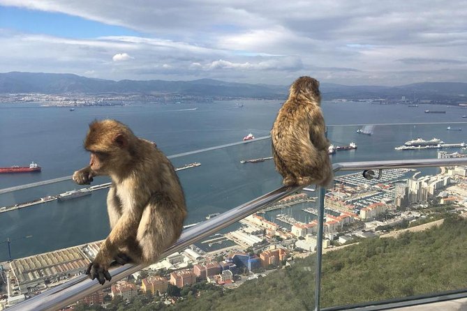 Gibraltar Sightseeing: Premium Rock Tour / Shore Excursion (Private) - The Skywalk and Gibraltar’s eastern side