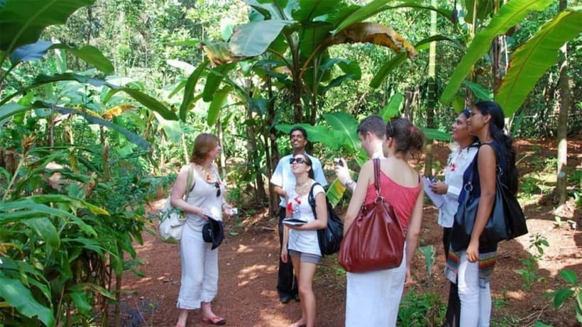 Goa Shore Excursions: Highlights of Goa - The spice plantation is the heart of the day