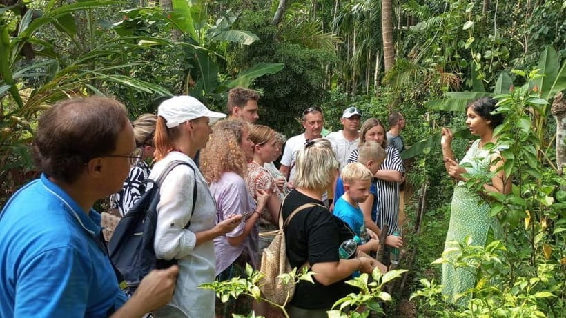 Goa Shore Excursions: Highlights of Goa - Timing, transport, and the real pace