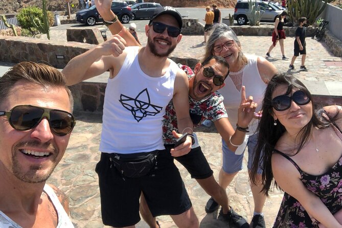 Gran Canaria Premium Tour: Volcanoes and Wine for cruisers - Key points at a glance