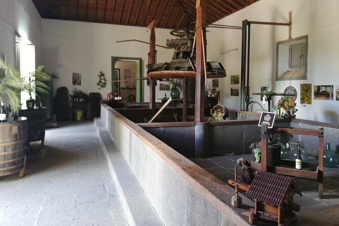 Gran Canaria Premium Tour: Volcanoes and Wine for cruisers - Santa Brígida: time for a village and lunch