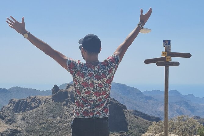 Gran Canaria Premium Tour: Volcanoes and Wine for cruisers - Caldera de los Marteles: a quieter volcanic finish