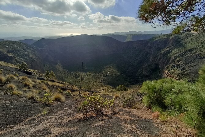 Gran Canaria Premium Tour: Volcanoes and Wine for cruisers - Bodega San Juan and the taste of Canarian wine