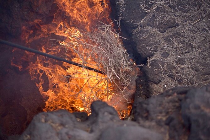 Grand Tour to Timanfaya and Jameos del Agua for cruise passengers - The Campesino monument and Lanzarote’s farming story