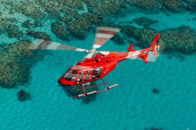 Great Barrier Reef or Rainforest Scenic Flights from Port Douglas - Key points before you book