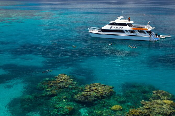 Great Barrier Reef or Rainforest Scenic Flights from Port Douglas - The pilots are part of the experience