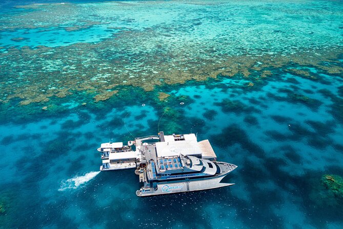 Great Barrier Reef or Rainforest Scenic Flights from Port Douglas - Marine life spotting requires patience and luck