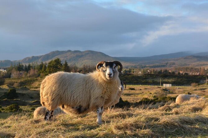 GREENOCK (GLASGOW) SHORE EXCURSION: Scotland Adventure Sightseeing Day Trip Tour - Key points at a glance