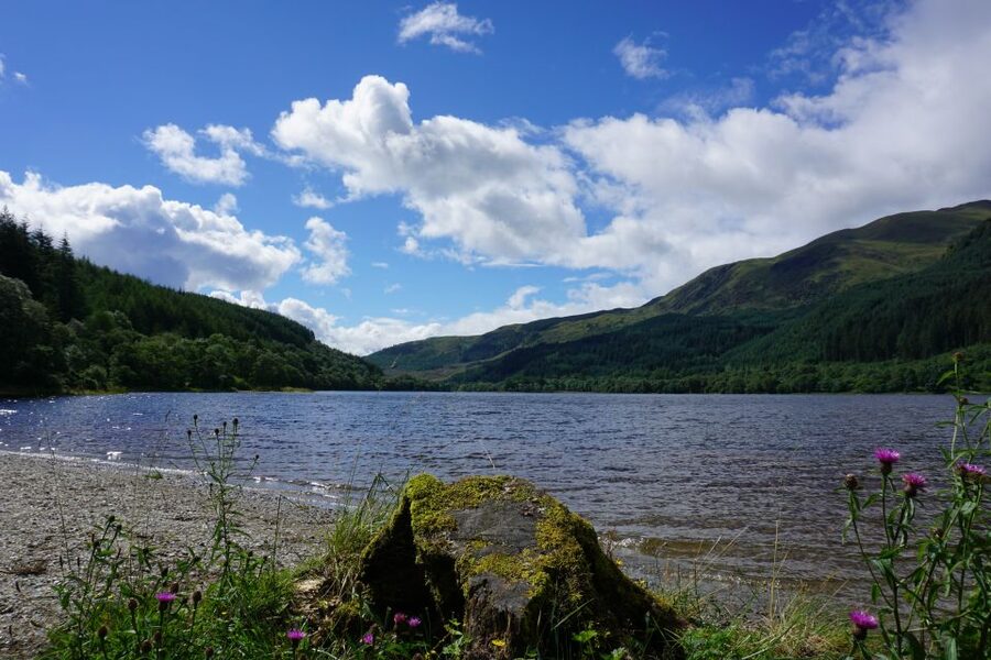 Greenock: Shore Excursion to Stirling Castle and Loch Lomond - Who should book this shore excursion?