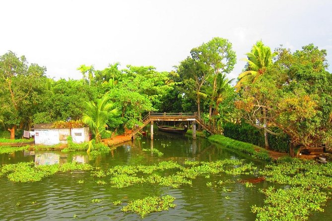 Group Shore Excursion from Cochin Port - How much time should you allow?