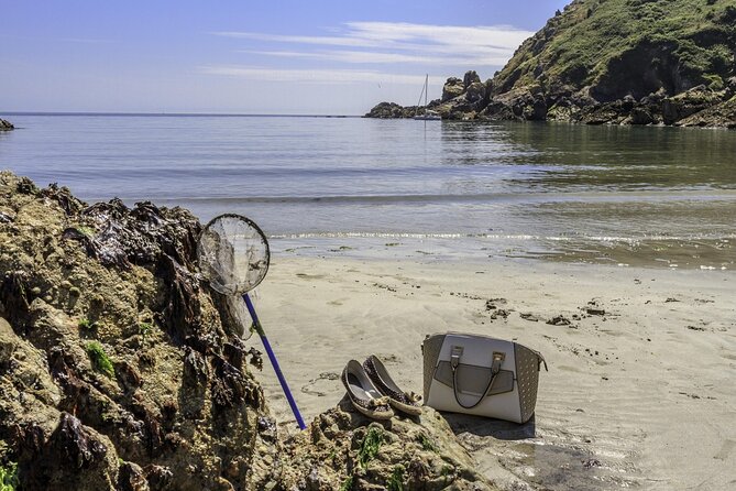 Guernsey: Half-Day Island Shore Excursion Tour - Finding Stand A after your tender