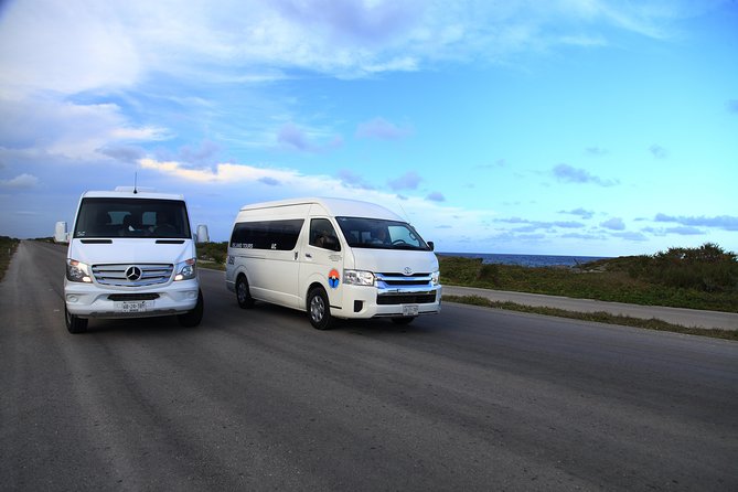 Guided Transportation for Cozumel Cruise Passengers - San Gervasio and the value of a local guide