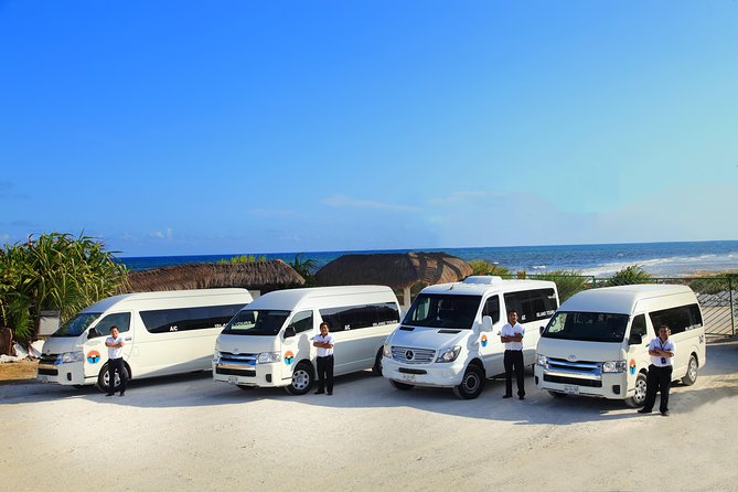 Guided Transportation for Cozumel Cruise Passengers - Meeting your driver at the cruise pier