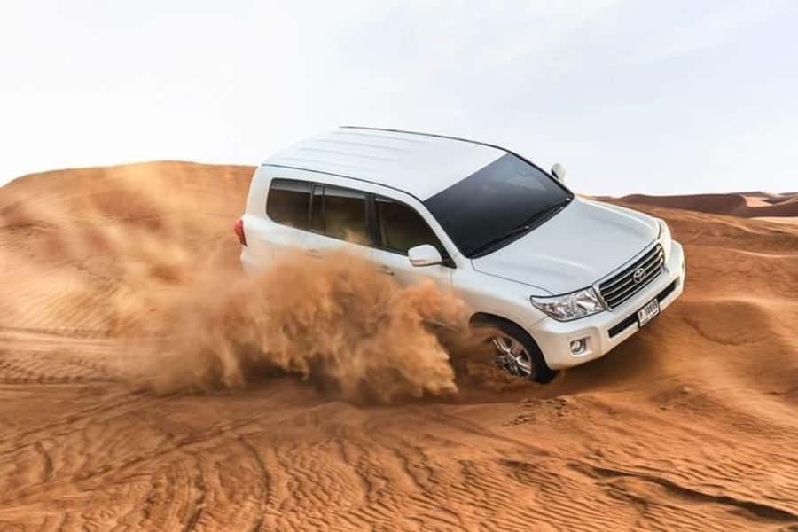 Half-Day Desert Safari For Cruise Ships Passngers. - Why the Inland Sea makes this shore excursion special