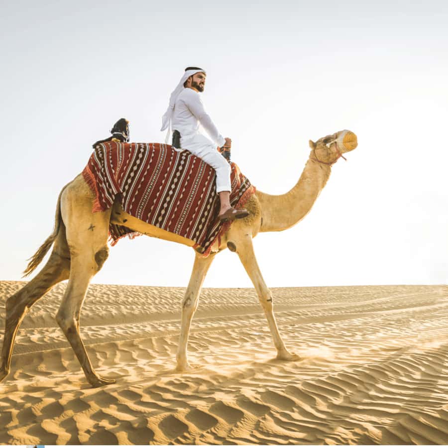 Half-Day Desert Safari For Cruise Ships Passngers. - The drive through Al Wakrah and toward the dunes