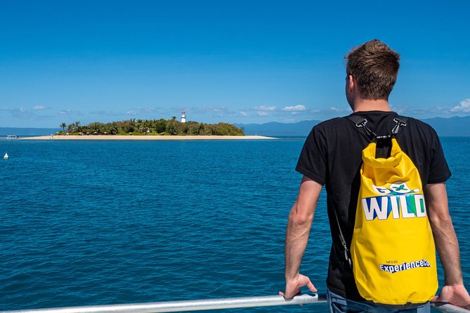 Half Day Low Isles Snorkelling Tour from Port Douglas - What you may see below the surface
