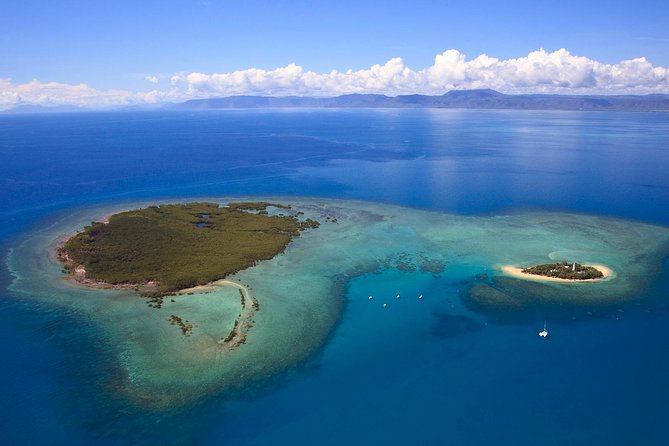 Half Day Low Isles Snorkelling Tour from Port Douglas - What the four-hour schedule feels like
