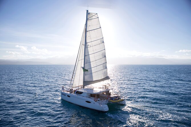 Half Day Low Isles Snorkelling Tour from Port Douglas - Food, comfort, and small practical tips