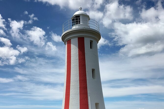Half Day Shore Excursion from Burnie - A compact way to see northern Tasmania