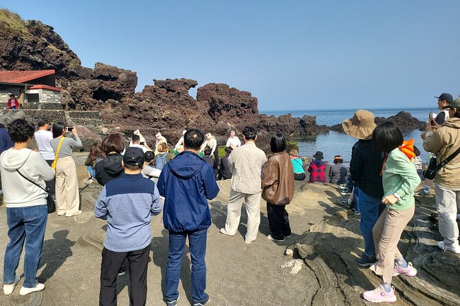 Half or Day Tour For Cruise customers arriving at Gangjeong Port - Seongsan Ilchulbong and the 2 p.m. haenyeo show