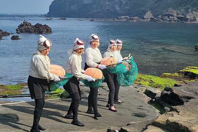 Half or Day Tour For Cruise customers arriving at Gangjeong Port - Seopjikoji adds a short coastal walk