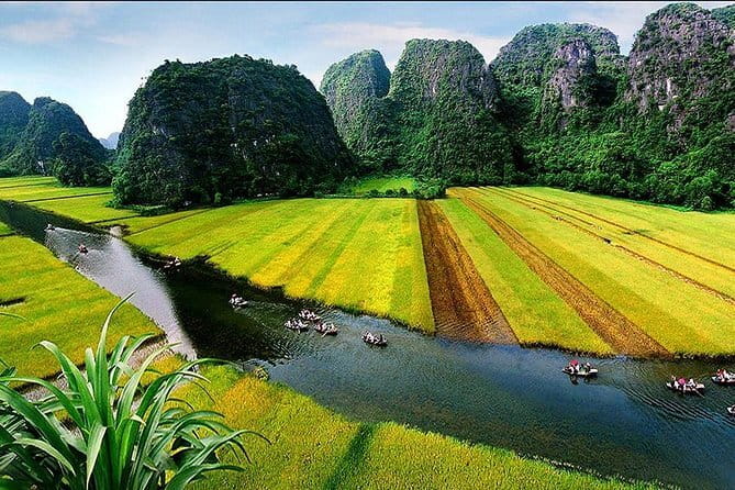 Halong Bay Shore Excursion 6 Hour Private Cruise from Cruise Port - Two hours to read the bay from the water