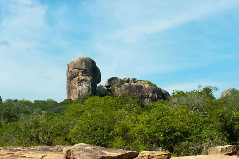 Hambantota Shore Excursion: Village and Cultural tour - Safari options and wildlife around Hambantota