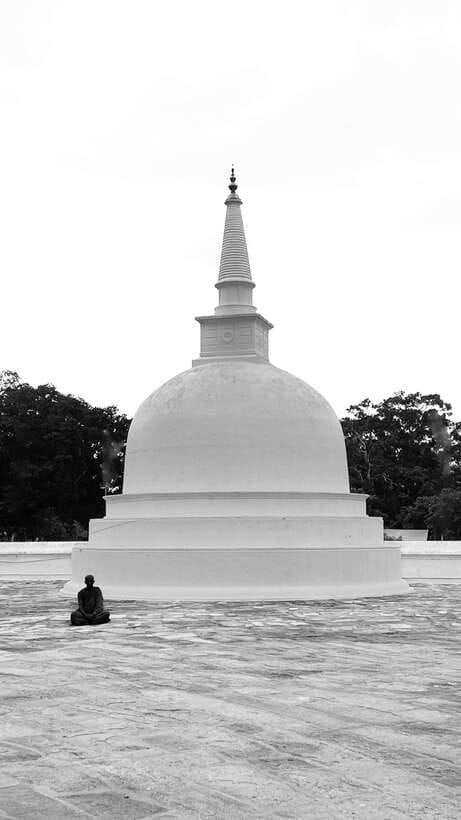 Hambantota Shore Excursion: Village and Cultural tour - What the guide can add, and where the tour may fall short