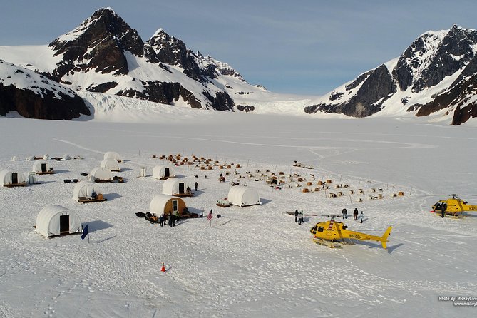 Helicopter To a Dogsledding Experience - The essential facts at a glance