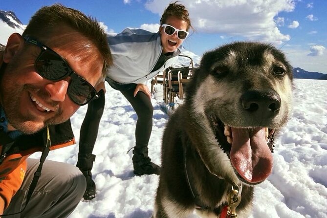 Helicopter To a Dogsledding Experience - What the dogsled ride is really like