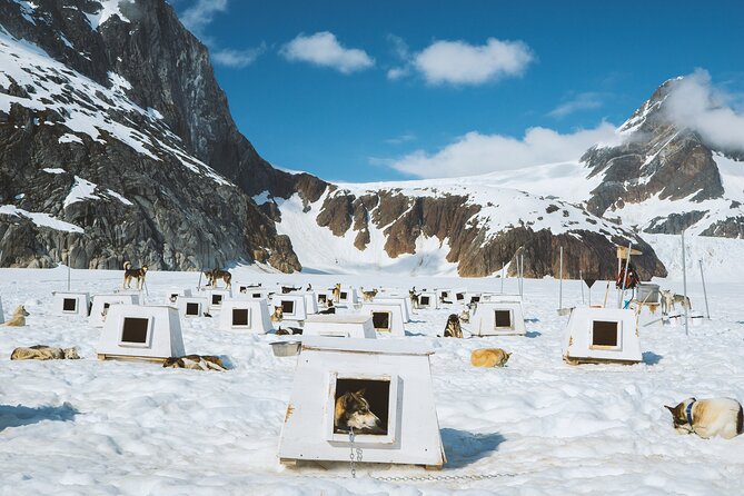 Helicopter To a Dogsledding Experience - Timing, weather, and the risk of a late decision