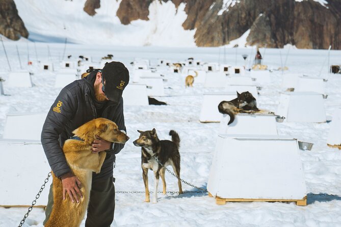 Helicopter to a Dogsledding Experience with a Glacier Landing - The big idea: dogsledding and ice in one flight