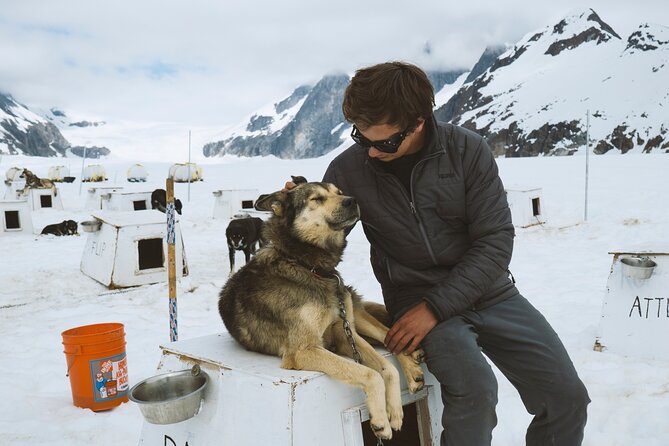 Helicopter to a Dogsledding Experience with a Glacier Landing - Forty minutes behind a team of sled dogs
