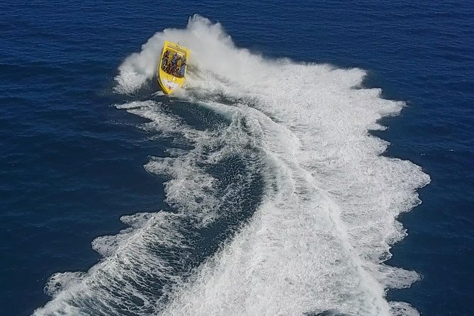 High Speed Harbor Tour from Charlotte Amalie Cruise Port - What the 40-minute route actually includes