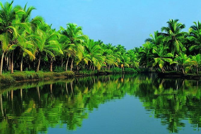 Highlights of Cochin - Group Shore Excursion from Pier - Heat, Walking, and Pace