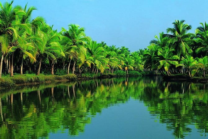 Highlights of Cochin - Group Shore Excursion from Pier - Santa Cruz Basilica and St. Francis Church
