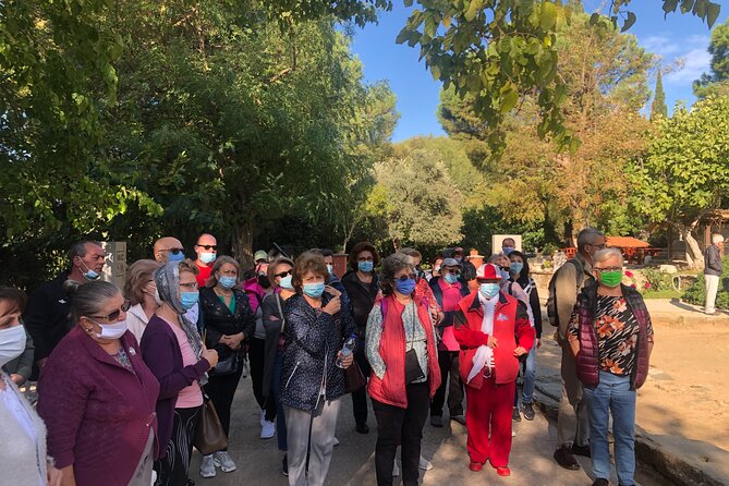 Highlights of Ephesus Tour from Izmir Port / Cruisers only - Key Points Before You Book