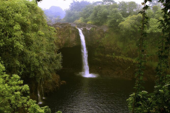 Hilo and Volcano National Park Tour for Cruise Passengers at port - Big Island Candies, a tasty island stop