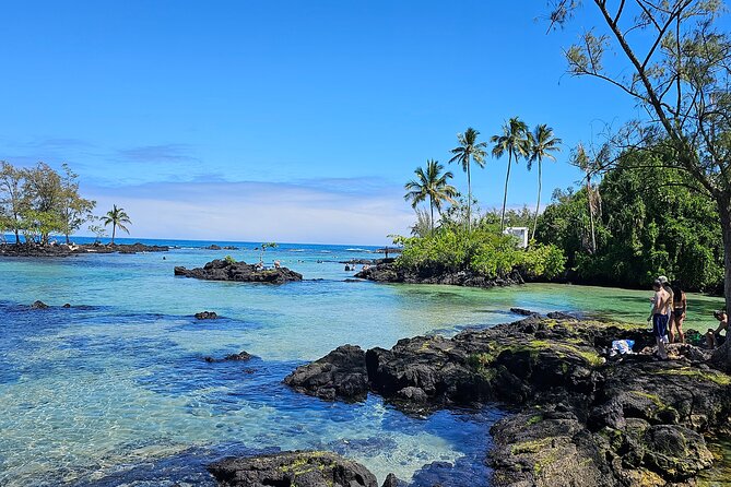 Hilo and Volcano National Park Tour for Cruise Passengers at port - Chain of Craters Road and the Pacific view