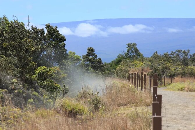 Hilo Cruise Ship Excursion: Volcanoes National Park Rainbow Falls - Rainbow Falls brings a welcome change of pace