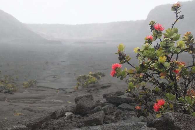Hilo Cruise Ship Excursion: Volcanoes National Park Rainbow Falls - Halema’uma’u and the short walking sections