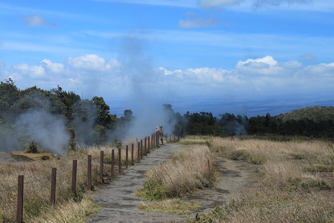 Hilo Shore Excursion: Active Volcano, Lava Tube, Waterfall and Gardens - Rainbow Falls brings you back to Hilo