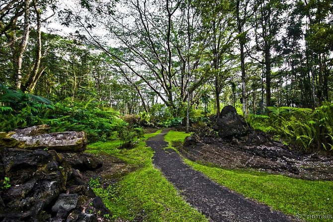 Hilo Shore Excursion: Volcano Safari Lava Caves & Black Sand - Lava Tree State Park and the forest made of fire