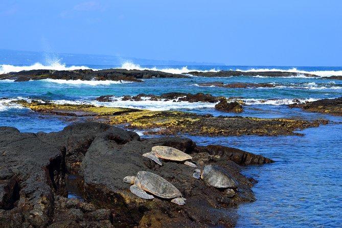 Hilo Shore Excursion: Volcanoes National Park & Black Sand Beach - Why this Hilo tour works well for a short port day