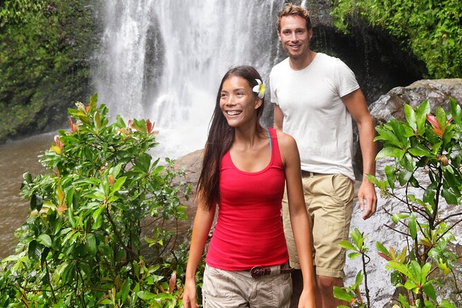 Hilo Waterfall Swim and Hike with Hilo Cruise Ship Pickup - Key points to know before you book
